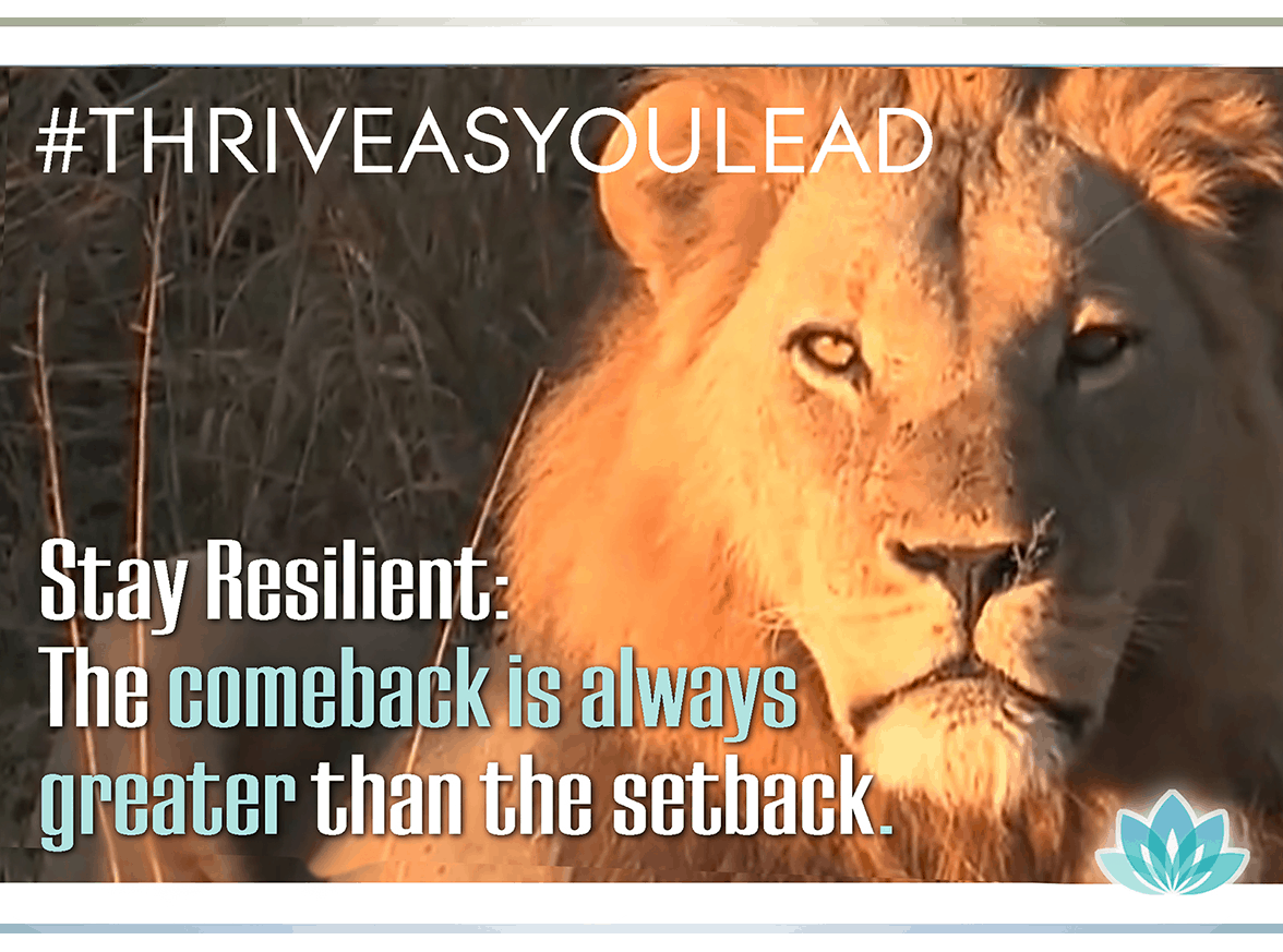 Transform your inner voice to one of positivity; turn setbacks into comebacks with inner resilience